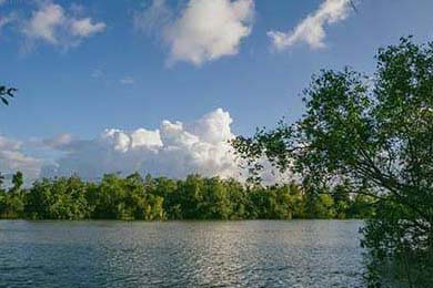 猫咪不打疫苗会怎么样？