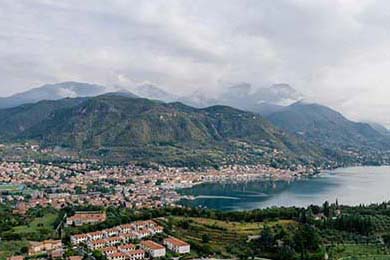 猫挑食不吃猫粮怎么办？