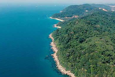 流浪猫受伤了怎么办